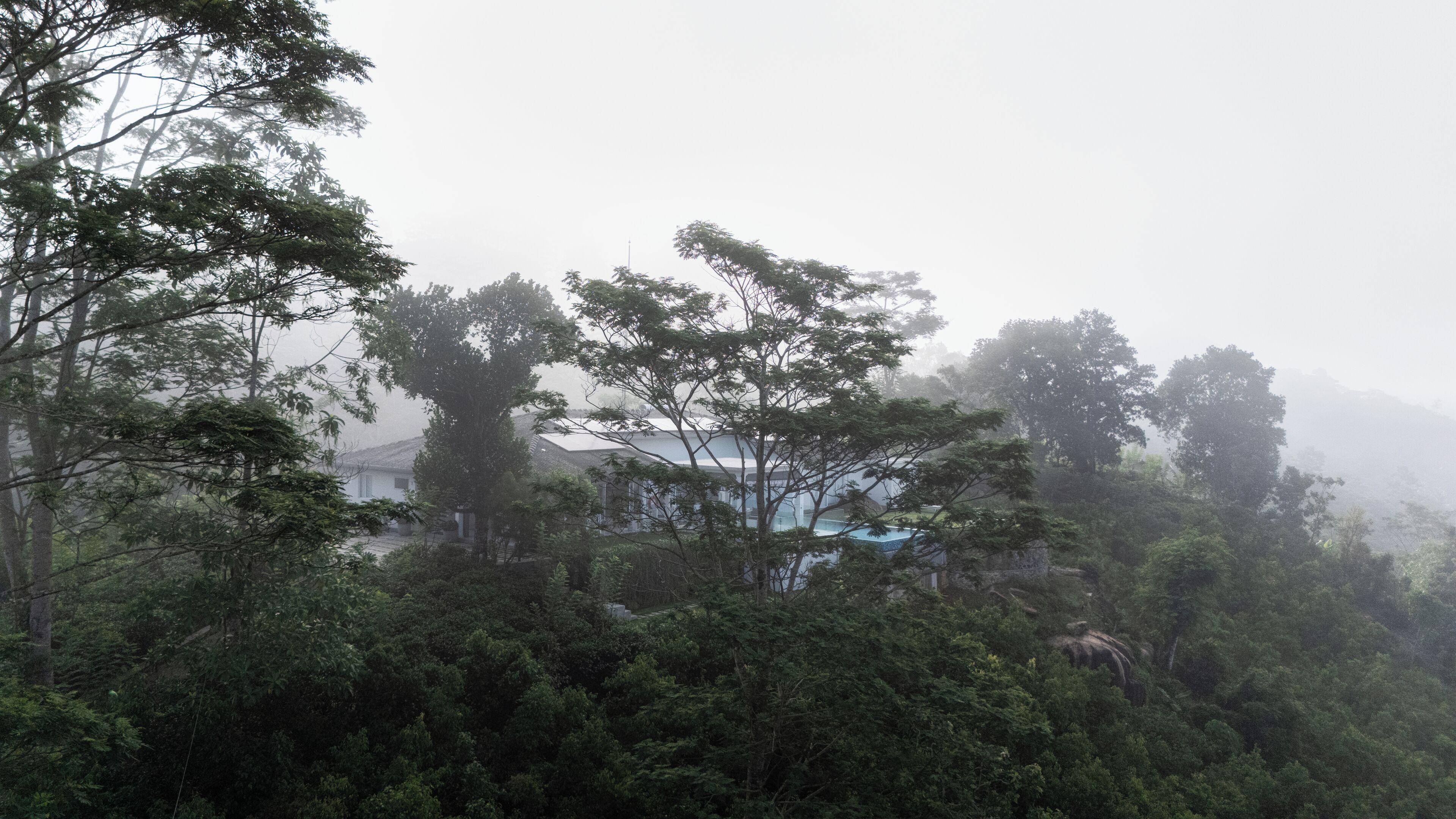 A house surrounded by dense forest with a view of the sky through the trees.