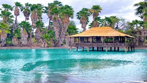 A thatched-roof structure over water with palm trees in the background. - Rancho El Charco Resort - Private Pool, Wildlife & Lake Retreat (La Joya)