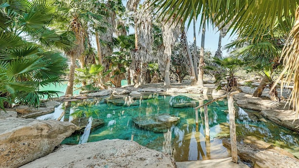 A natural pool surrounded by rocks and palm trees. - Rancho El Charco Resort - Private Pool, Wildlife & Lake Retreat (La Joya)
