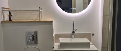 Hair dryer, soap, toilet paper