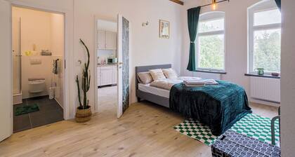 Boarding & Monteur Apartment CMTZ