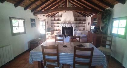 Bourrine Vendéenne sur parc paysager entourée d'étiers