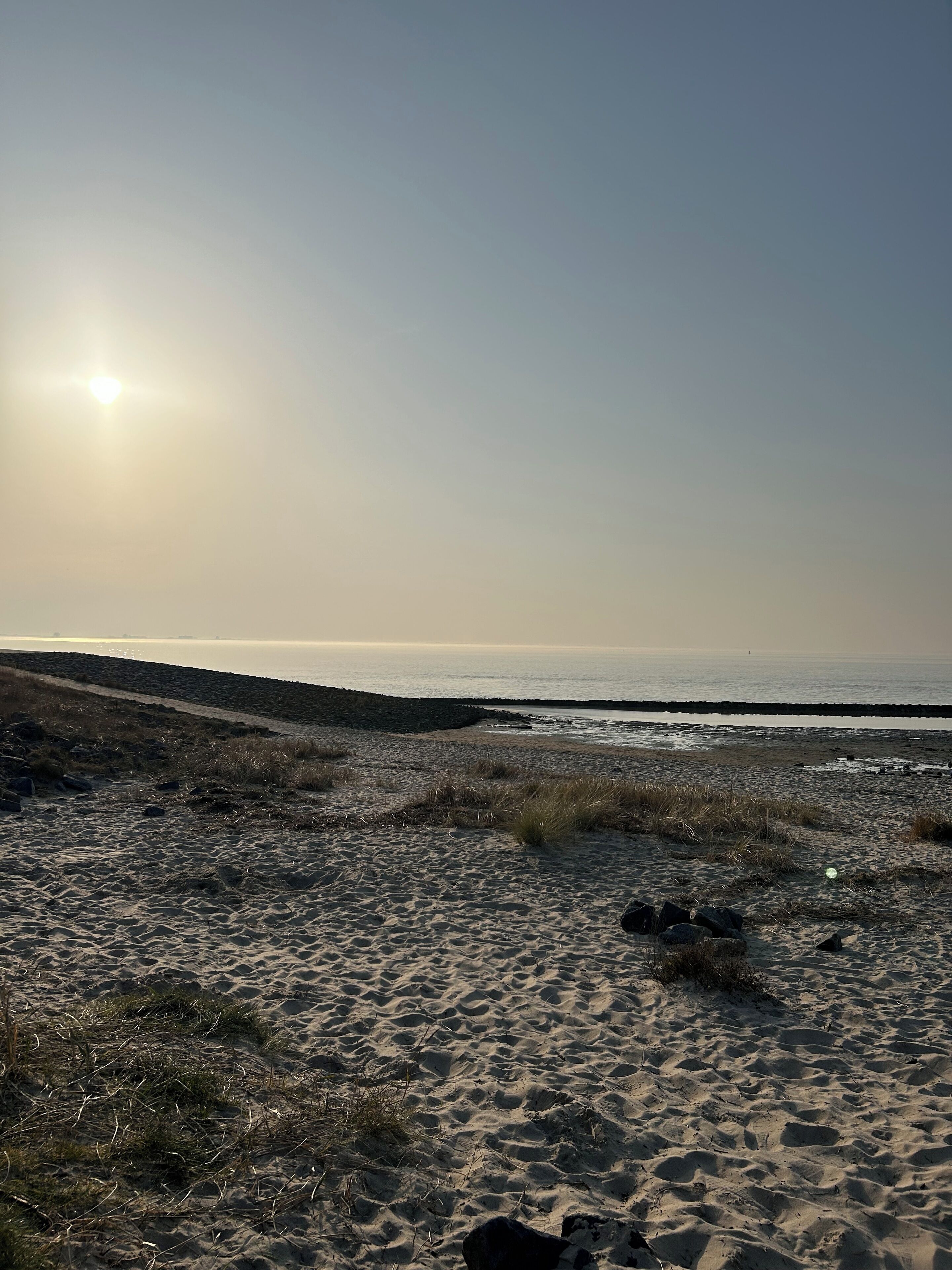 En strand med en klar himmel och en sol som står lågt vid horisonten, vilket antyder att det är tidig morgon eller sen eftermiddag.