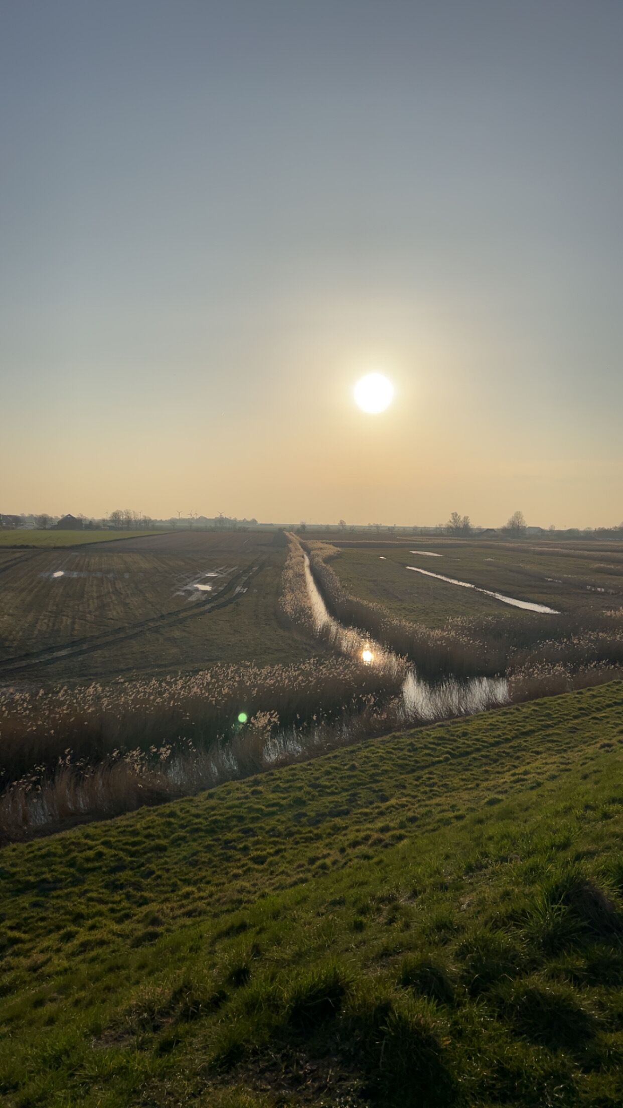 Un champ traversé par un canal d’irrigation, avec un bâtiment visible au loin.