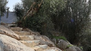 A set of stone steps leading up a rocky path, surrounded by olive trees and shrubs. - Herdade do Vidigal (Montemor-o-Novo)