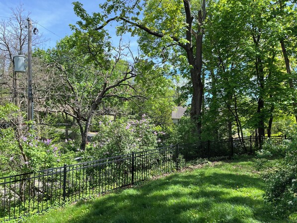 Property grounds - 3 bedroom home in Shorewood Hills. Excellent location! (Madison)