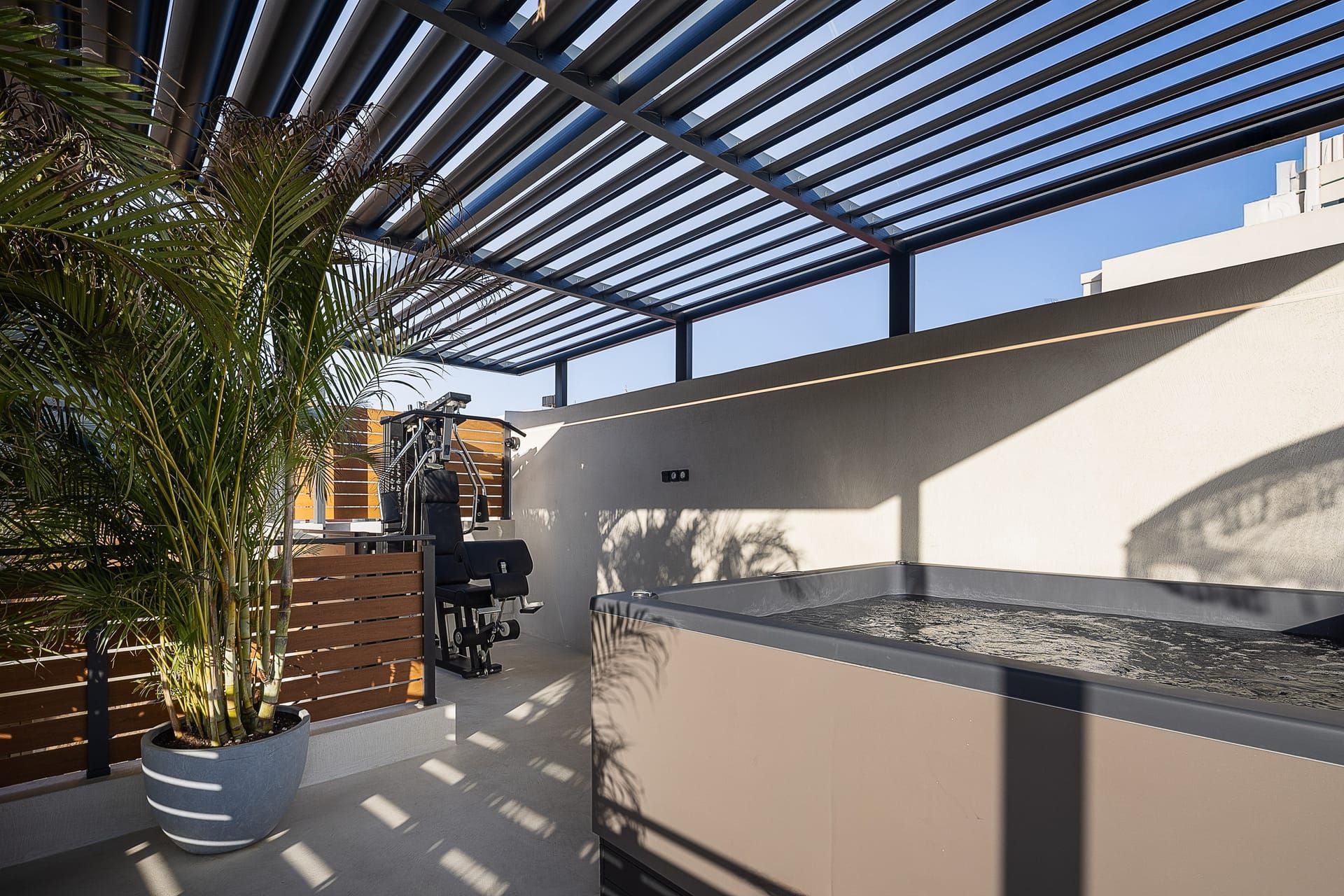 A modern outdoor area with a pergola, exercise equipment, and a large planter with a palm tree.
