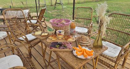 La roulotte Domaine de la tapie de Bouchet - in the Camargue