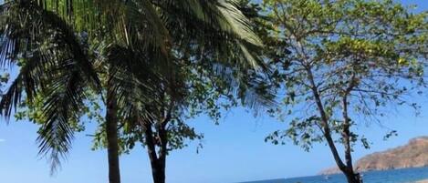 Plage, chaises longues, serviettes de plage