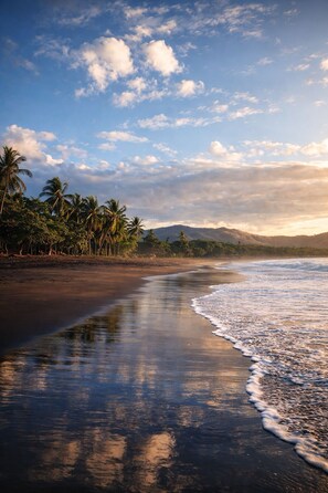 在海滩、沙滩椅、沙滩毛巾