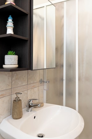 Shower, hair dryer, bidet, towels