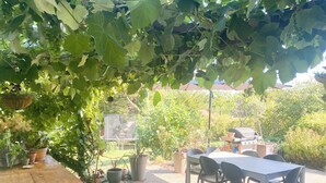 Un patio exterior con una mesa y sillas de madera, rodeado de macetas con plantas y una parrilla.
