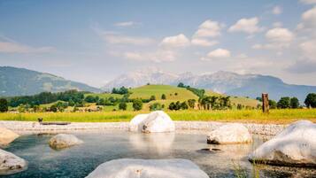 Departamento | Vista desde la propiedad