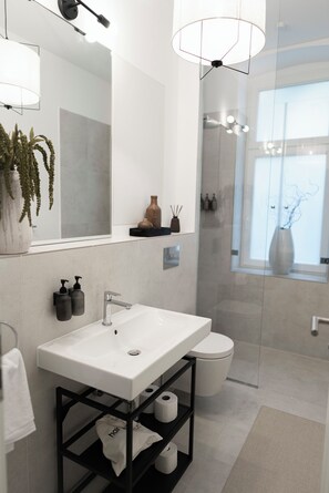 Ducha, secador de pelo, toallas, papel higiénico