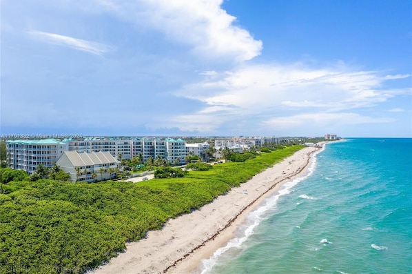 On the beach - LUXURY 4-Ensuites Beach condo in Jupiter 100 Yards to Ocean!Ocean Views! (Jupiter)