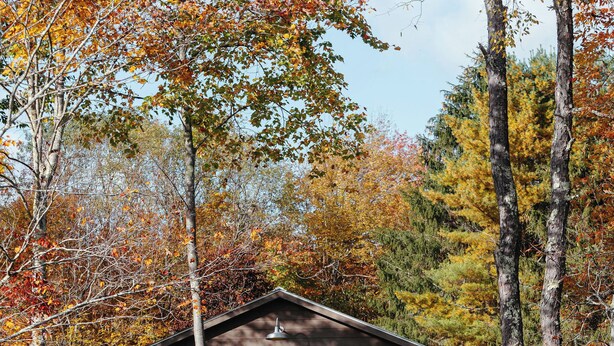 A cabin with a wooden exterior, a porch, and a small staircase leading to the entrance. - Antrim Streamside (Livingston Manor)