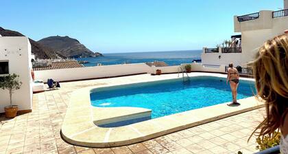 Fabulous ocean view and pool 80m from the beach in San Jose (pet friendly)