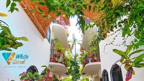 A narrow pathway flanked by lush greenery and potted plants, leading to a central area with a tiled floor. - Central Hacienda 5 min from the beach and the famous 5th ave with swimming pool (Playa del Carmen)