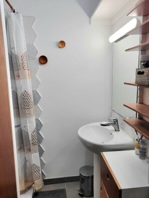 Shower, towels, soap, shampoo - Cosy house with private patio (Nantes)