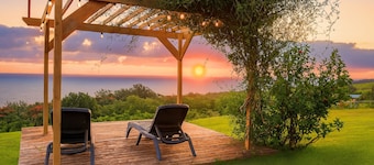 Farmhouse + Ohana on 5 Acres Tropical Oasis -Sleeps Up To 12