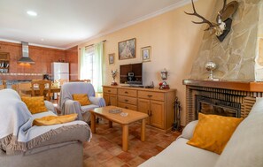 TV connectée, cheminée