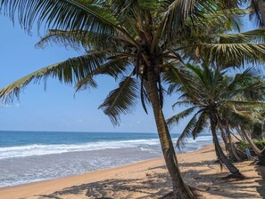Una playa con palmeras y una vista despejada del océano.