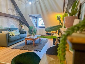 TV - Casa Jungle loft rue du Paquier (Annecy)