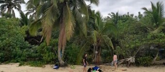 Kapeta Cabin at # 5 Kapeta Ave. Kolomotu 'a,