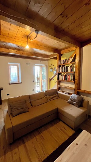 TV connectée, cheminée, livres, chaîne hi-fi