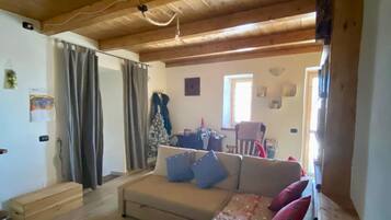 Smart TV, fireplace, books, music library