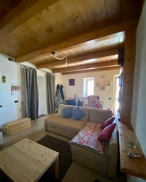 TV connectée, cheminée, livres, médiathèque