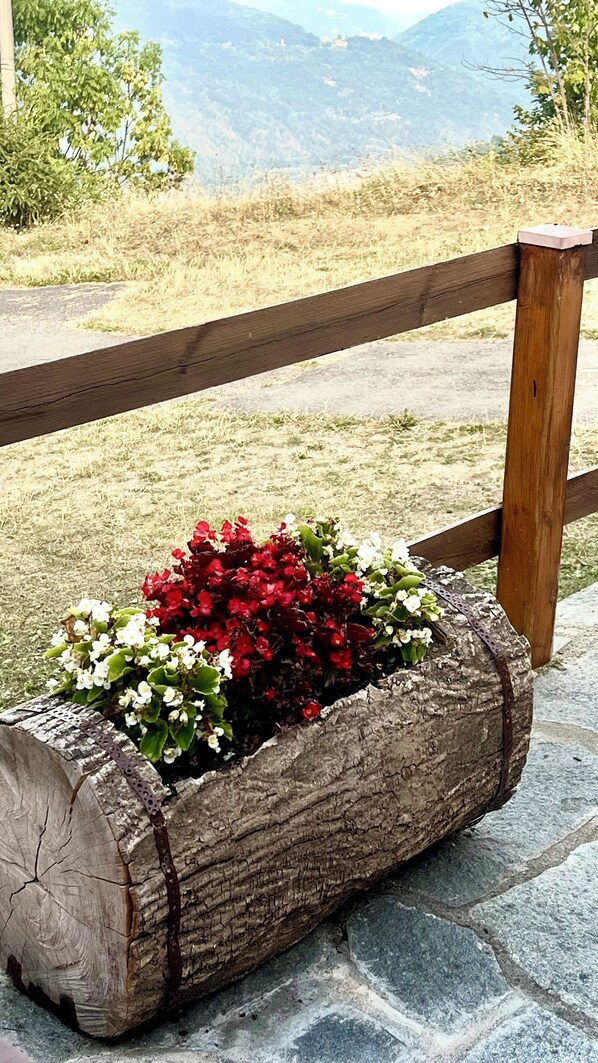 Overnatningsstedets område