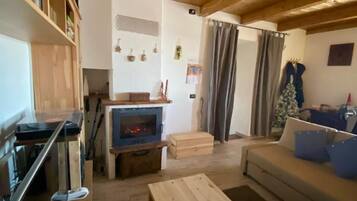 Smart TV, fireplace, books, music library