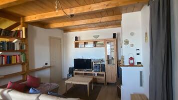 智能電視、壁爐、書籍、音樂庫