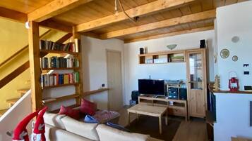 智能電視、壁爐、書籍、音樂庫