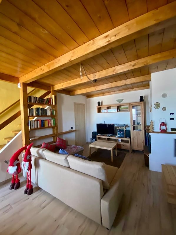 TV connectée, cheminée, livres, médiathèque