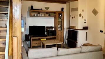 Smart TV, fireplace, books, stereo