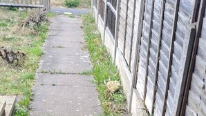 Un vialetto in cemento delimitato da una recinzione in legno e da un muro in mattoni.
