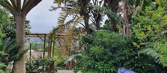 Rustic house with garden overlooking the sea in the center of the island