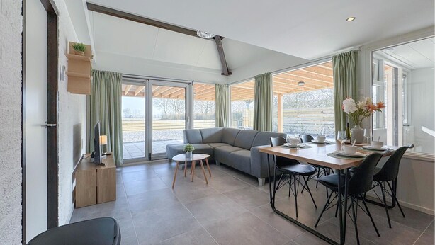 A modern living room with a sofa, dining table, and chairs. There is a large window with curtains, a small table with a plant, and a TV on a stand.
