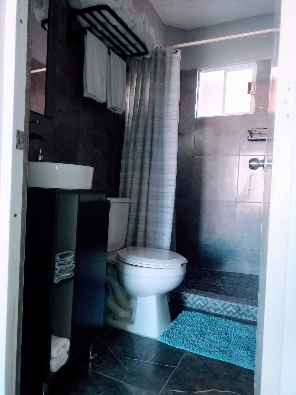 A compact bathroom with a white toilet, a small sink, and a shower area with a curtain.