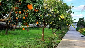 Maison, 2 chambres, balcon, vue jardin | Jardin