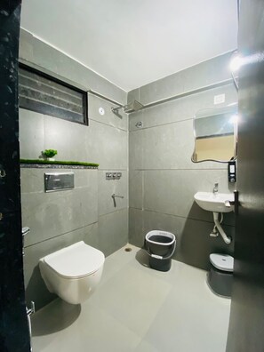 Hair dryer, towels, soap, toilet paper