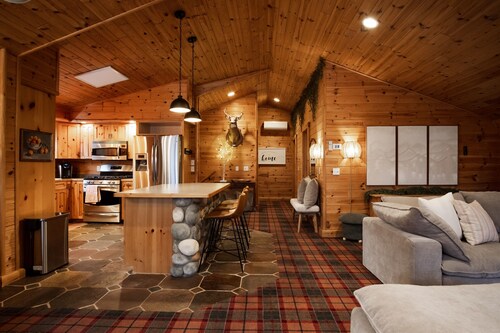 Family Cabin - Indoor Hot Tub, Rec Room, Rock Wall, Indoor Swingset, Arcade