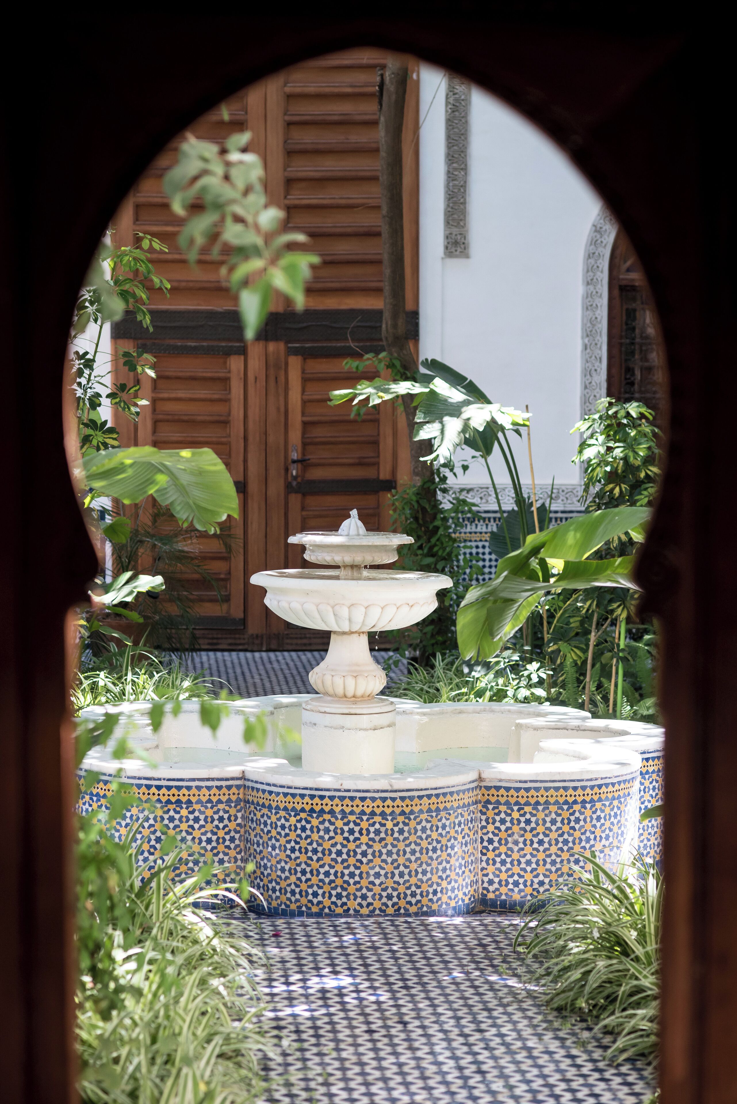 Jardim