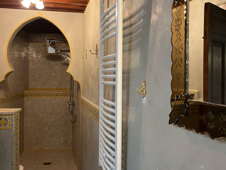 Une salle de bain avec une douche, un porte-serviettes et un miroir.