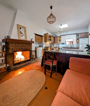 Smart TV, fireplace, books