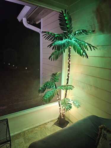 Cute Cozy Comfy 1-bedroom apartment in lovely Downtown Tallahassee with AC, WiFi