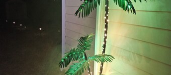 Cute Cozy Comfy 1-bedroom apartment in lovely Downtown Tallahassee with AC, WiFi