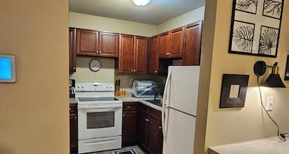 Cute Cozy Comfy 1-bedroom apartment in lovely Downtown Tallahassee with AC, WiFi